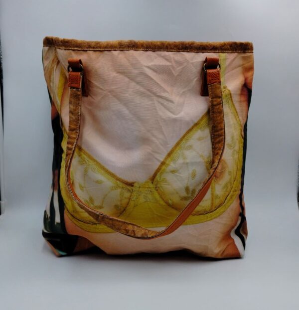Upcycle Chic Unique Bag with Beautiful Picture and Revisable Option ( 00077 )